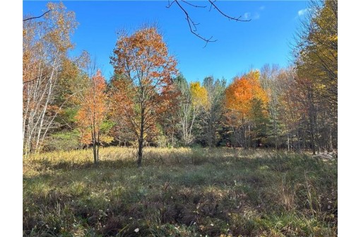 LOT 3 (5.10 ACRES) M Highway, Elk Mound, WI 54739