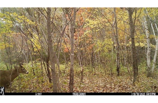 LOT 3 (5.10 ACRES) M Highway, Elk Mound, WI 54739