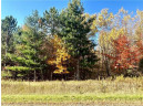 LOT 3 (5.10 ACRES) M Highway, Elk Mound, WI 54739