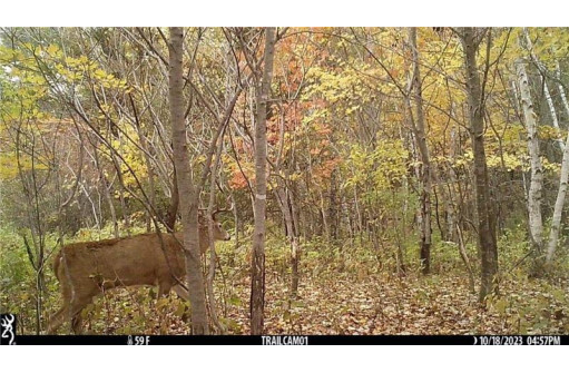 LOT 3 (5.10 ACRES) M Highway, Elk Mound, WI 54739