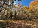 LOT 3 (5.10 ACRES) M Highway, Elk Mound, WI 54739