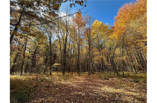 LOT 3 (5.10 ACRES) M Highway, Elk Mound, WI 54739