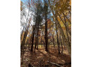 LOT 3 (5.10 ACRES) M Highway, Elk Mound, WI 54739