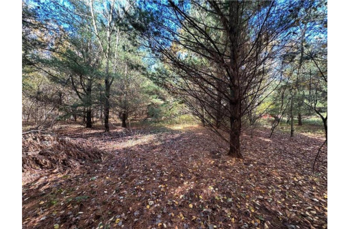 LOT 3 (5.10 ACRES) M Highway, Elk Mound, WI 54739