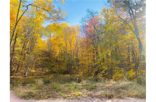 2.44 ACRES Holy Island Road, Sarona, WI 54870