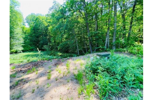 2.44 ACRES Holy Island Road, Sarona, WI 54870