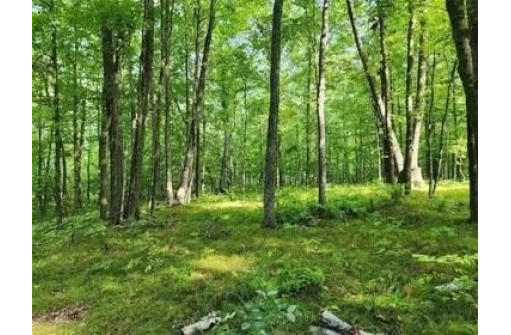 LOT 12 Honey Tree Road, Danbury, WI 54830