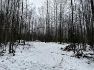 559.02 ACRES Hwy T