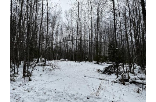 559.02 ACRES Hwy T, Dairyland, WI 54830