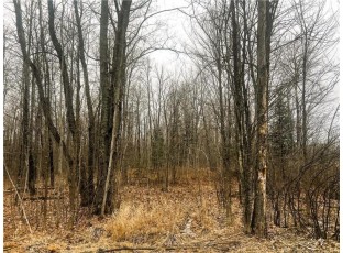 10 ACRES ON Andys Road Ingram, WI 54526