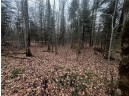 10 ACRES ON Andys Road, Ingram, WI 54526