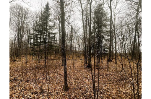 10 ACRES ON Andys Road, Ingram, WI 54526