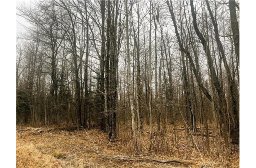 10 ACRES ON Andys Road, Ingram, WI 54526