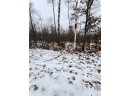 LOT 11 28 11/16, Birchwood, WI 54817