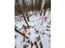 LOT 11 28 11/16, Birchwood, WI 54817