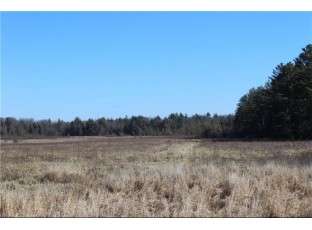0 Maple Road - 20 Acres Neillsville, WI 54456