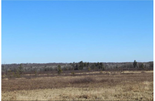 0 Maple Road - 20 Acres, Neillsville, WI 54456