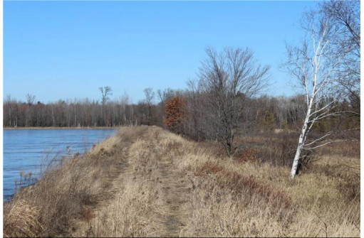 0 Maple Road - 20 Acres, Neillsville, WI 54456