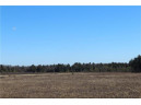 0 Maple Road - 20 Acres, Neillsville, WI 54456