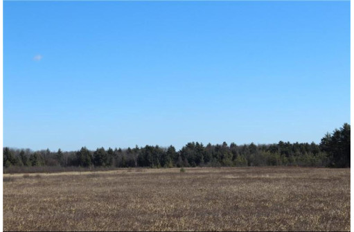 0 Maple Road - 20 Acres, Neillsville, WI 54456