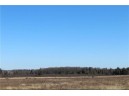 0 Maple Road - 20 Acres, Neillsville, WI 54456