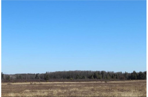 0 Maple Road - 20 Acres, Neillsville, WI 54456