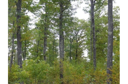 NEAR Half Mile Road, Herbster, WI 54844