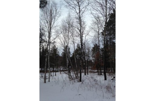 NEAR Martin Road, Trego, WI 54888