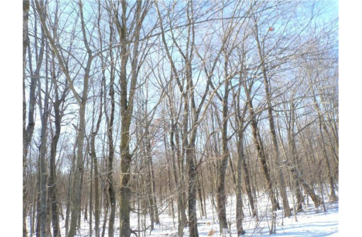 LOT 13 Sunny Side Road, Jump River, WI 54766