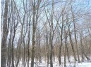 LOT 13 Sunny Side Road, Jump River, WI 54766