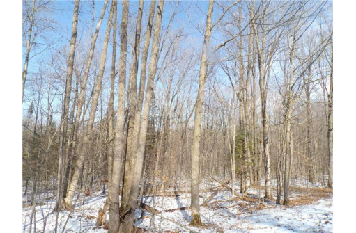 LOT 13 Sunny Side Road, Jump River, WI 54766