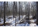 LOT 18 Pondell Ln W, Bruce, WI 54819