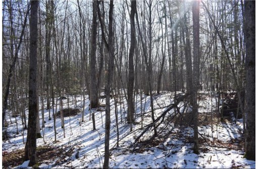 LOT 18 Pondell Ln W, Bruce, WI 54819