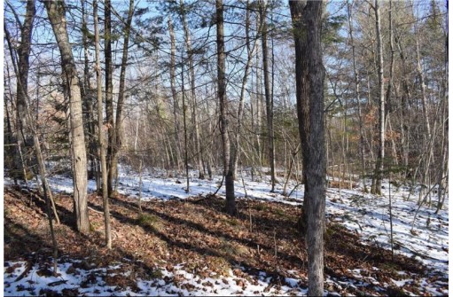 LOT 18 Pondell Ln W, Bruce, WI 54819