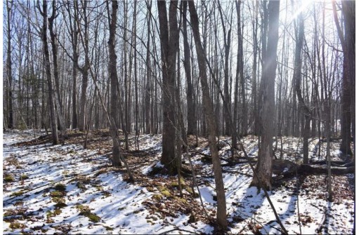 LOT 18 Pondell Ln W, Bruce, WI 54819