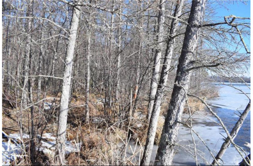 LOT 18 Pondell Ln W, Bruce, WI 54819