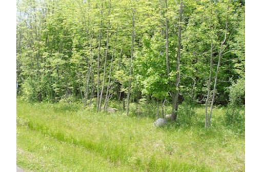 LOT 13 ON Margaret Lane, Park Falls, WI 54552