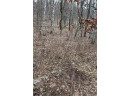 0 Wildwood Lane - Lot 1, Fairchild, WI 54741