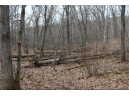 0 Wildwood Lane - Lot 1, Fairchild, WI 54741