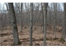 0 Wildwood Lane - Lot 1, Fairchild, WI 54741