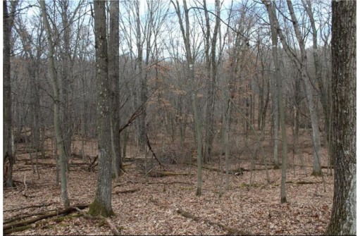 0 Wildwood Lane - Lot 1, Fairchild, WI 54741