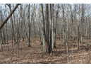 0 Wildwood Lane - Lot 1, Fairchild, WI 54741