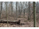 0 Wildwood Lane - Lot 1, Fairchild, WI 54741