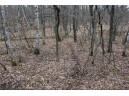 0 Wildwood Lane - Lot 1, Fairchild, WI 54741