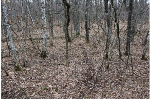 0 Wildwood Lane - Lot 1, Fairchild, WI 54741