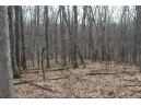 0 Wildwood Lane - Lot 2, Fairchild, WI 54741