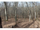 0 Wildwood Lane - Lot 2, Fairchild, WI 54741