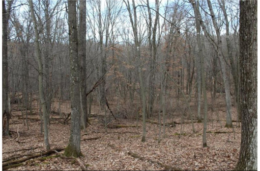 0 Wildwood Lane - Lot 2, Fairchild, WI 54741