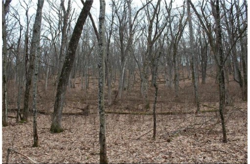 0 Wildwood Lane - Lot 3, Fairchild, WI 54741