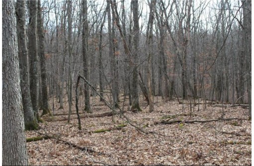 0 Wildwood Lane - Lot 4, Fairchild, WI 54741